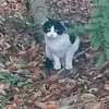 MelissaAyers - @melissaayersqmiffz - TikTok