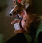 Melissa Baggett - Facebook