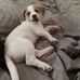 Melissa Bagwell - Facebook