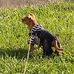 Melissa Bauswell - Facebook