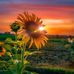 Melissa Banning - Facebook