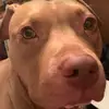 Melissa Bartmess - @melissa.bartmess - TikTok