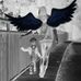 Melissa Bartels - Facebook