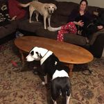 Melissa Bartley - @melbartley73 - Instagram