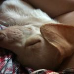 Melissa Bashaw - @bashaw.melissa - Instagram