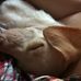 Melissa Bashaw - Facebook