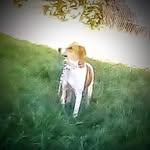 Melissa Jackson Baughn - @mbaughn1970 - Instagram