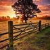 Melissa Baylor - Facebook