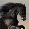 Melissa Beale166 - @melissabeale0 - TikTok