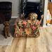 Melissa Beamon - Facebook