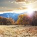 Melissa Bellis - Facebook