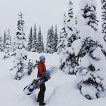 Melissa Malouf Belz - @maloufbelz - Instagram
