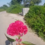 Melissa Bergmann - Facebook