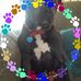 Melissa Bernhardt - Facebook