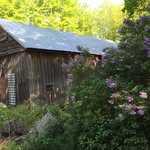 Melissa Bicknell - @sheddhomestead - Instagram