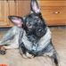 Melissa Bigler - Facebook