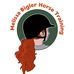 Melissa Bigler Horse Training LLC - Facebook