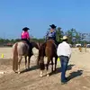 Melissa Albinger - @melissaalbinger - TikTok