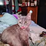 Melissa Biddinger - Facebook