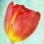Melissa Bittinger - @melsartbits - Instagram