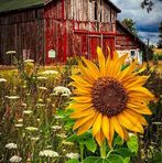 Melisa Blaser - Facebook
