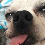 Missy Blaumer - Facebook
