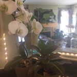 Melissa Blundell - @melissa.blundell1 - Instagram