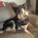Missy Bly - Facebook