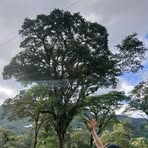 Melissa Bolaños - Facebook