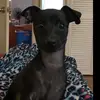 MELISSA BORUNDA - @melissaborunda7 - TikTok
