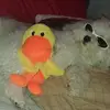melissabourne04 - @melissabourne04 - TikTok