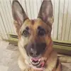 melissabowley - @melissabowley - TikTok