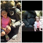 Missy Braddock Peterson - @melissabraddock - Instagram