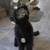 Melissa Brawley - Facebook