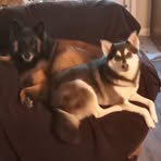 Melissa Braxton - Facebook