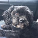Melissa Furtado Breault - @melissabreault2 - Instagram
