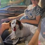 Melissa Brightman - @melissa202029 - Instagram