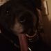 Melissa Brightwell - Facebook