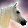 Melissa Broder - @melissa.broder - TikTok