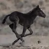 Melissa Broughton - @melissa.broughton4 - TikTok