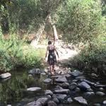 Melissa Browne - @zeebotron84 - Instagram