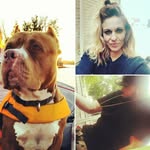 melissa sarah Brush - @brushmiss4 - Instagram