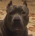Melissa Butler-Poore - Facebook