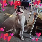 Melissa Byrum Chatman - @sissa4life - Instagram