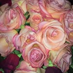 Melissa Cale - @cale_melissa_artandphotography - Instagram