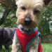 Melissa Calvert - Facebook