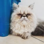 melissa. cantin - @melissa._cantin - Instagram