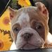 Melissa Carmack - Facebook