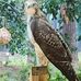 Melissa Ward Carmody - Facebook