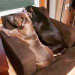 Melissa Carrick - @carrickmelissa - Instagram